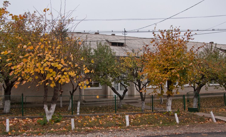 Fotografii din comuna Radaseni